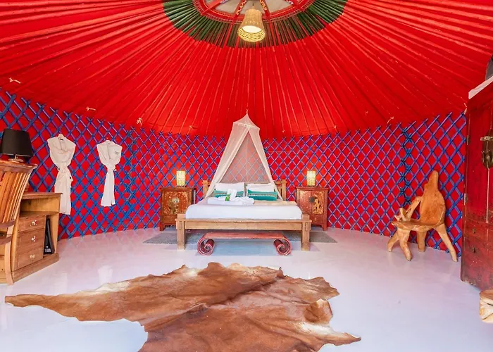 Resort De Arrieta Village - Yurts And Stone - Shared Pool - Walking Distance To Arrieta - Off Grid Tabayesco